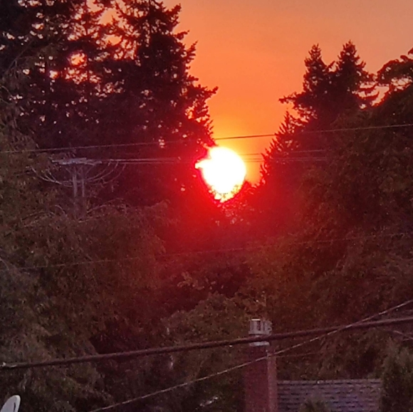 Meet the Posher! - Picture 2 of 3